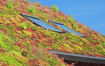 High Brotheridge living roof systems